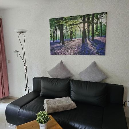 Residenz Schauinsland Todtnauberg - Fewo 17 - Sauna - Spielzimmer Fuer Kinder - Naehe Feldberg エクステリア 写真