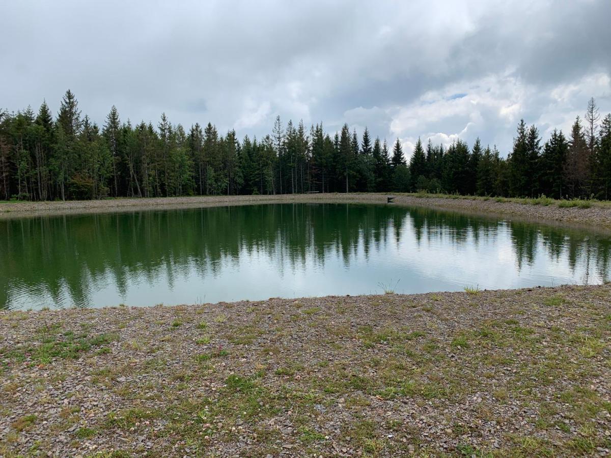 Residenz Schauinsland Todtnauberg - Fewo 17 - Sauna - Spielzimmer Fuer Kinder - Naehe Feldberg エクステリア 写真