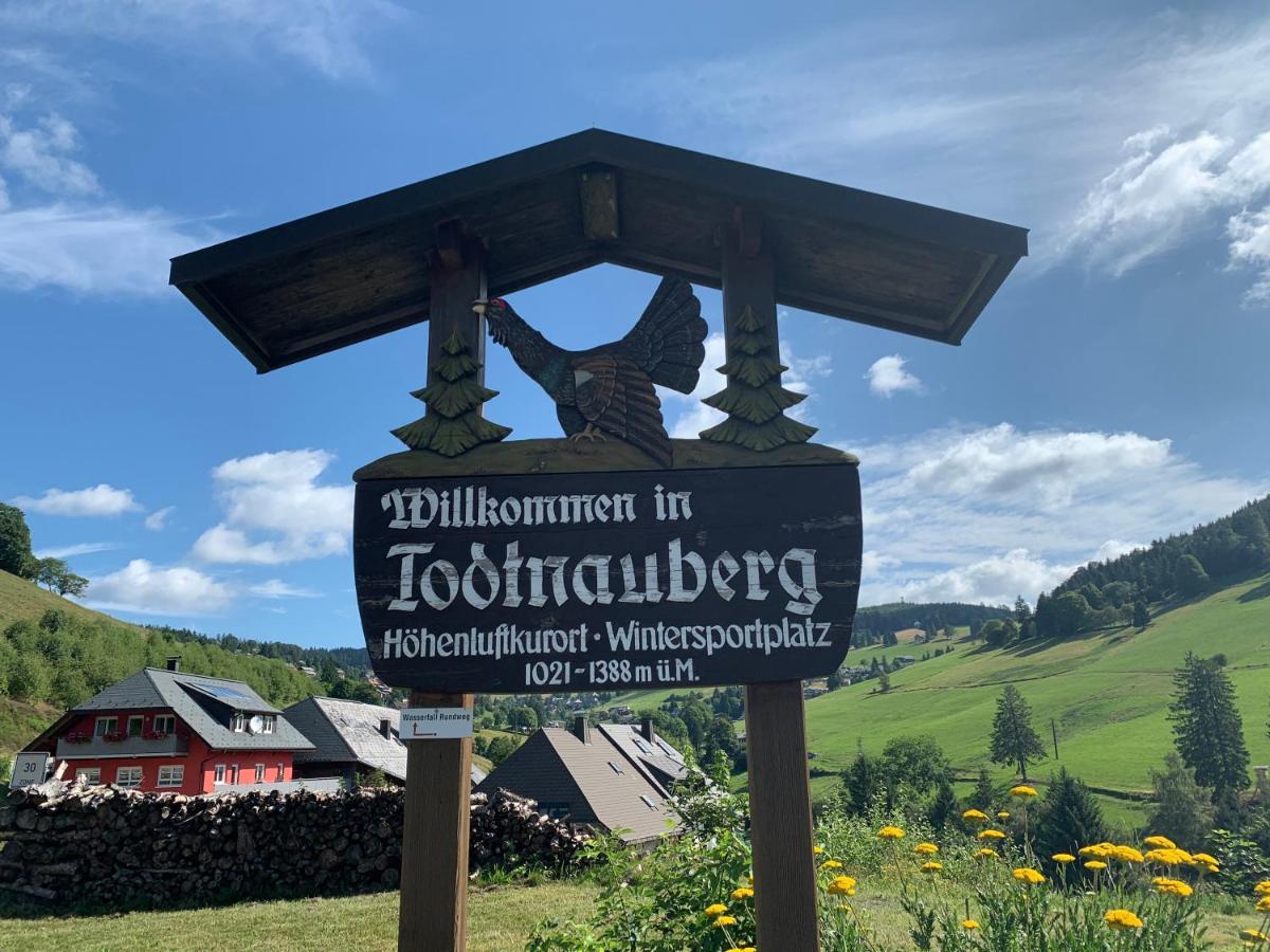 Residenz Schauinsland Todtnauberg - Fewo 17 - Sauna - Spielzimmer Fuer Kinder - Naehe Feldberg エクステリア 写真