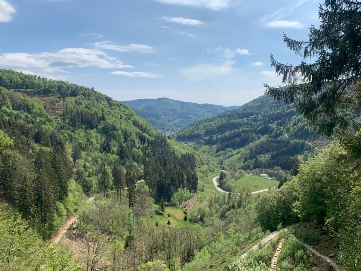 Residenz Schauinsland Todtnauberg - Fewo 17 - Sauna - Spielzimmer Fuer Kinder - Naehe Feldberg エクステリア 写真