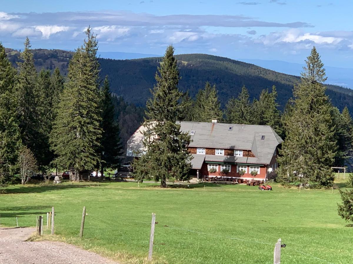 Residenz Schauinsland Todtnauberg - Fewo 17 - Sauna - Spielzimmer Fuer Kinder - Naehe Feldberg エクステリア 写真