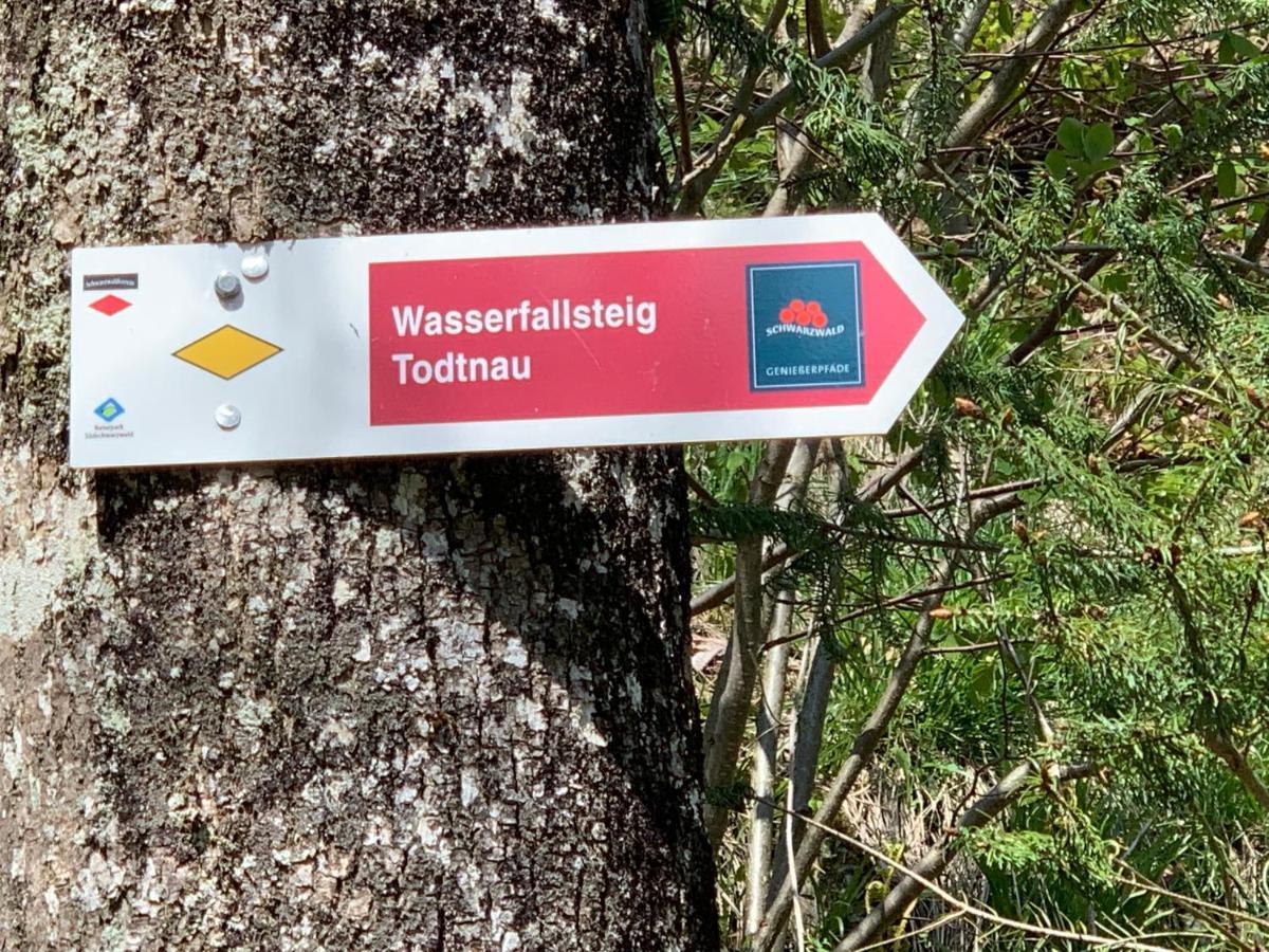 Residenz Schauinsland Todtnauberg - Fewo 17 - Sauna - Spielzimmer Fuer Kinder - Naehe Feldberg エクステリア 写真