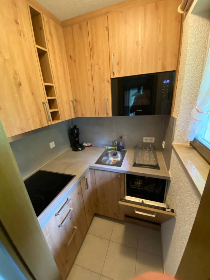 Residenz Schauinsland Todtnauberg - Fewo 17 - Sauna - Spielzimmer Fuer Kinder - Naehe Feldberg エクステリア 写真